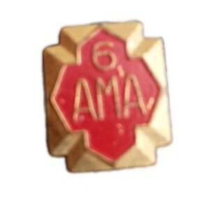 Vintage AMA American Motorcycle Association 6 Year Enamel Lapel Hat Pin Pinback